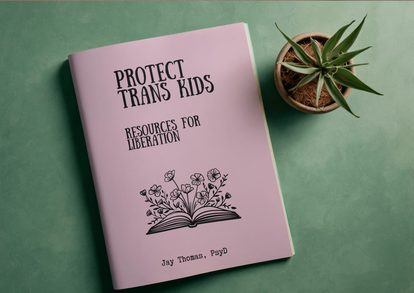 protect trans kids zine (2): resources for liberation